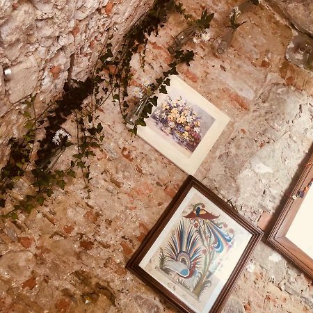 Villa Bacchetta - Forest View أوليجو كاستيلّو المظهر الخارجي الصورة