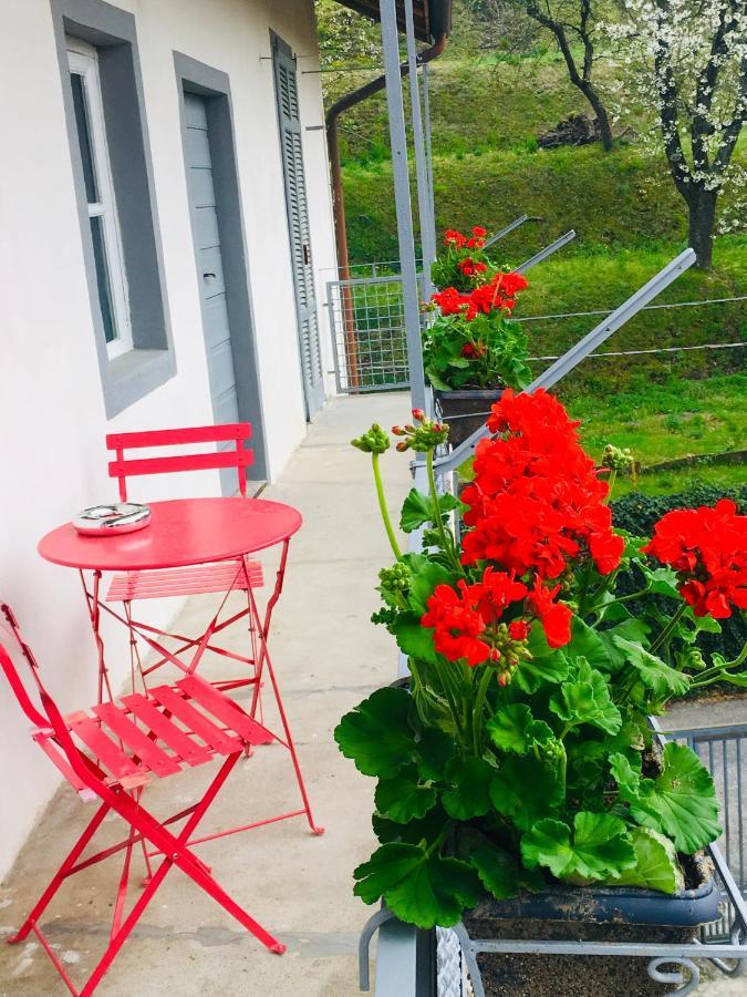 Villa Bacchetta - Forest View أوليجو كاستيلّو المظهر الخارجي الصورة