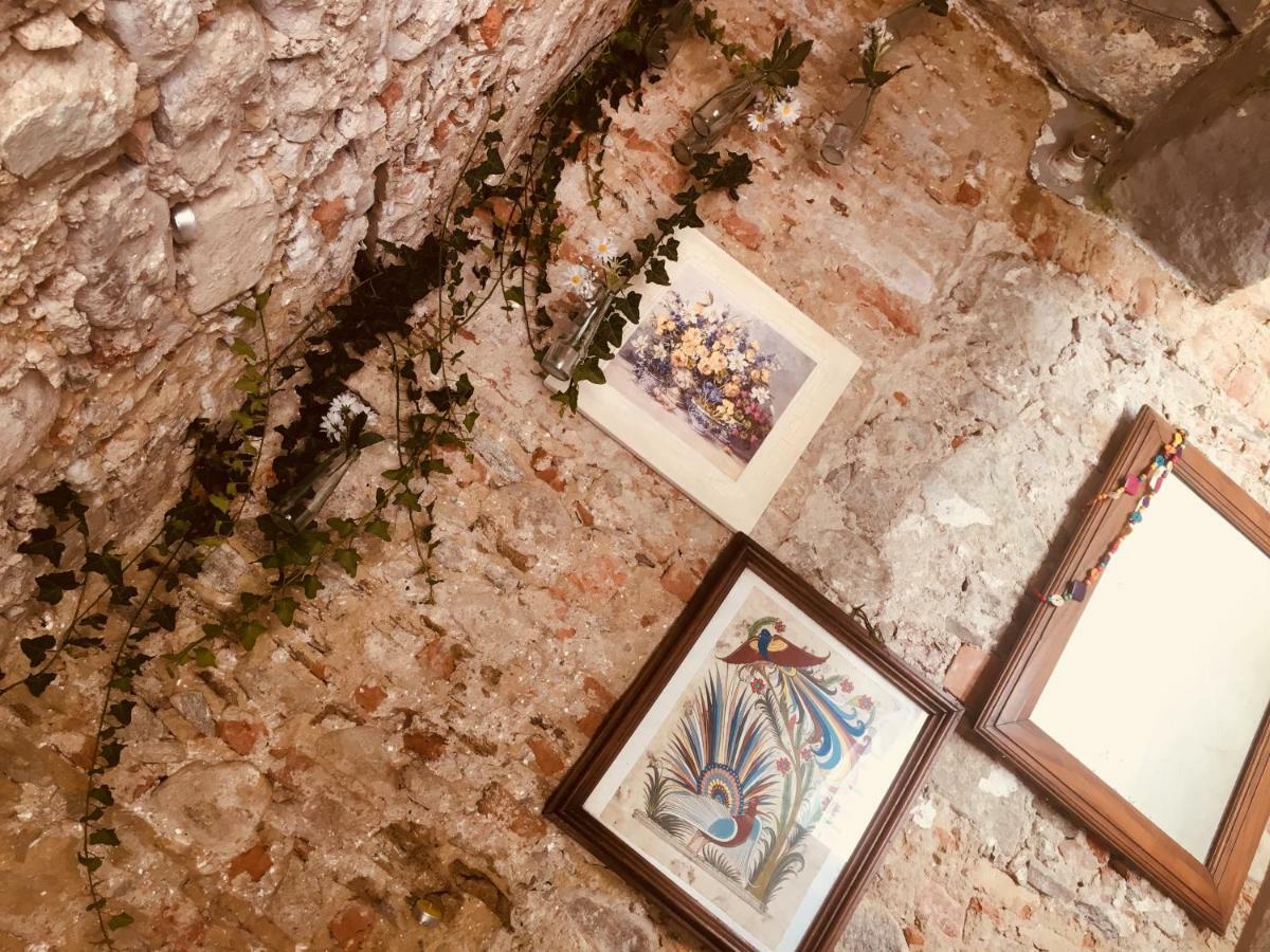 Villa Bacchetta - Forest View أوليجو كاستيلّو المظهر الخارجي الصورة